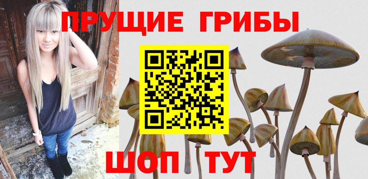Пыть-Ях  Галлюциногенные грибы Psilocybine cubensis  Вход с VPN  Галлюциногенные грибы Psilocybine cubensis 